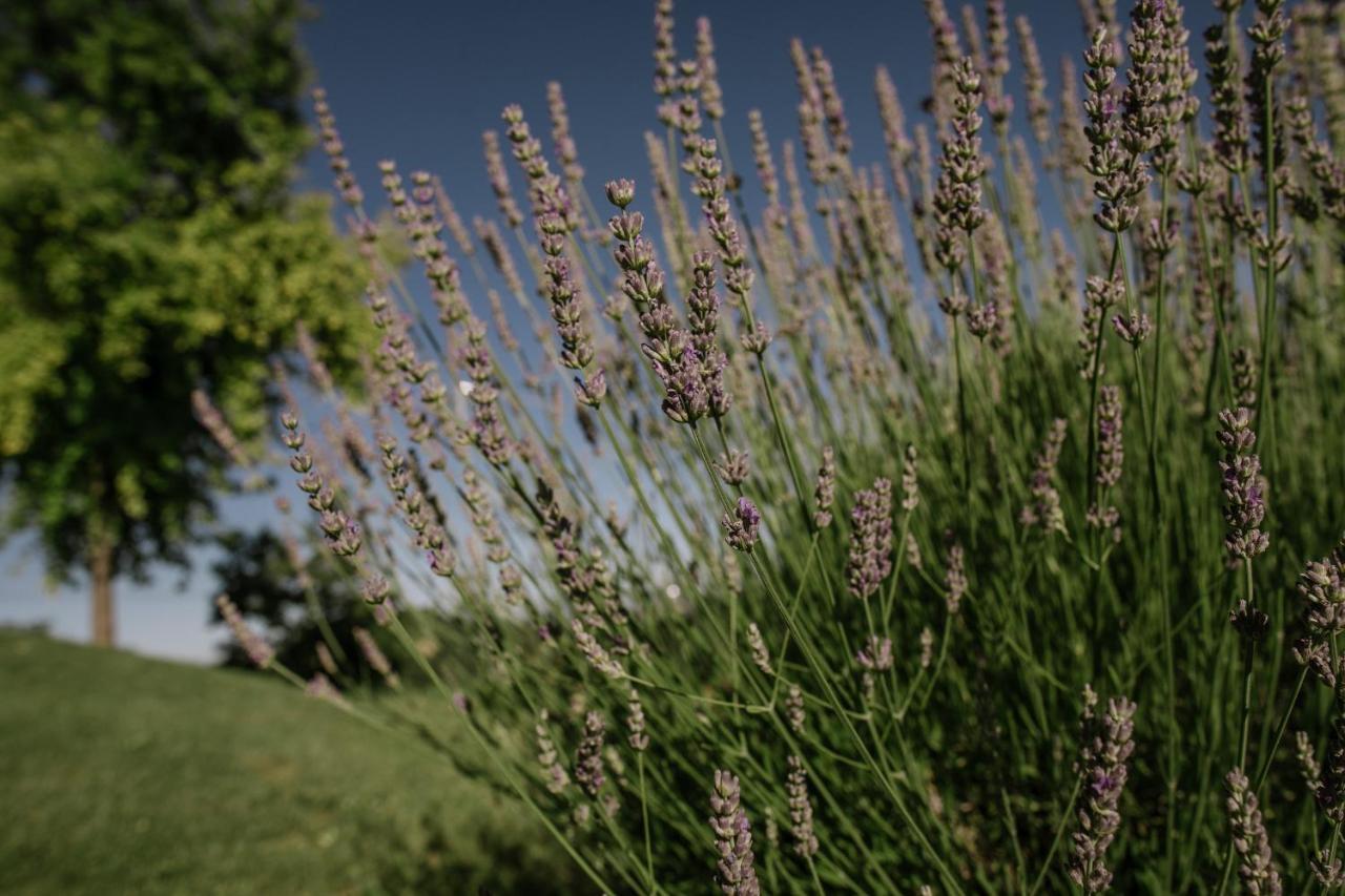 Agriturismo Bricco San Giovanni Asti Kültér fotó