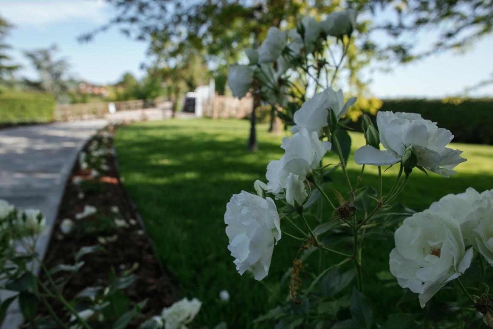 Agriturismo Bricco San Giovanni Asti Kültér fotó