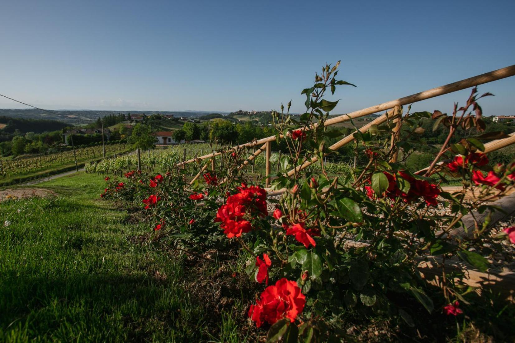 Agriturismo Bricco San Giovanni Asti Kültér fotó