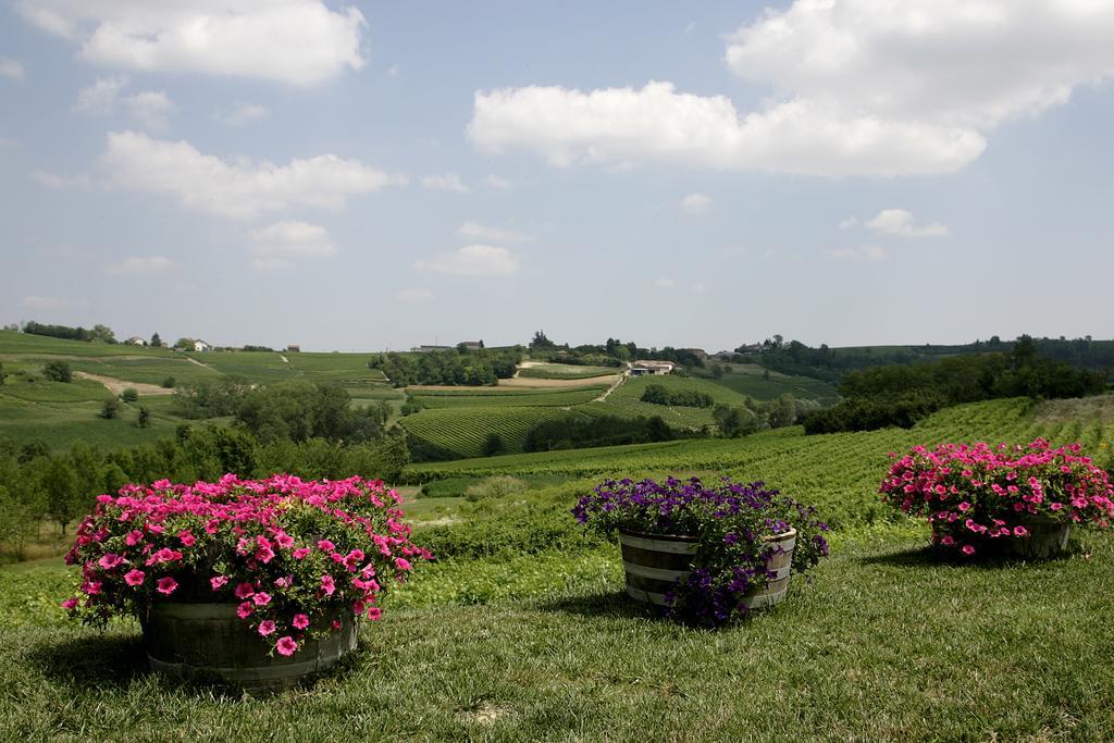 Agriturismo Bricco San Giovanni Asti Kültér fotó
